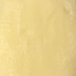Tallow Shampoo Bar