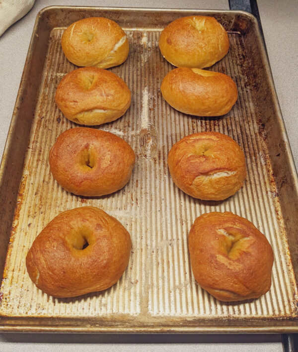 Sourdough Bagels