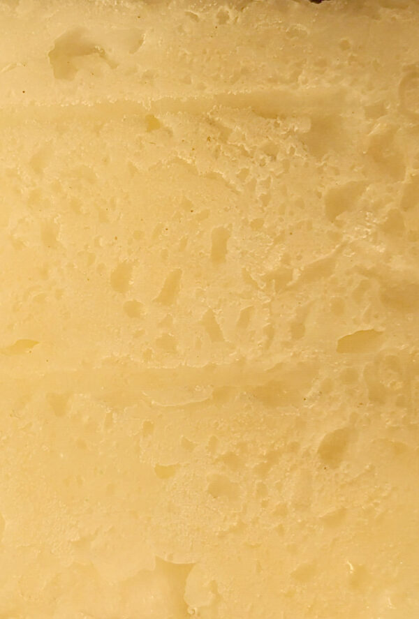 Tallow Dish Soap (Bar)