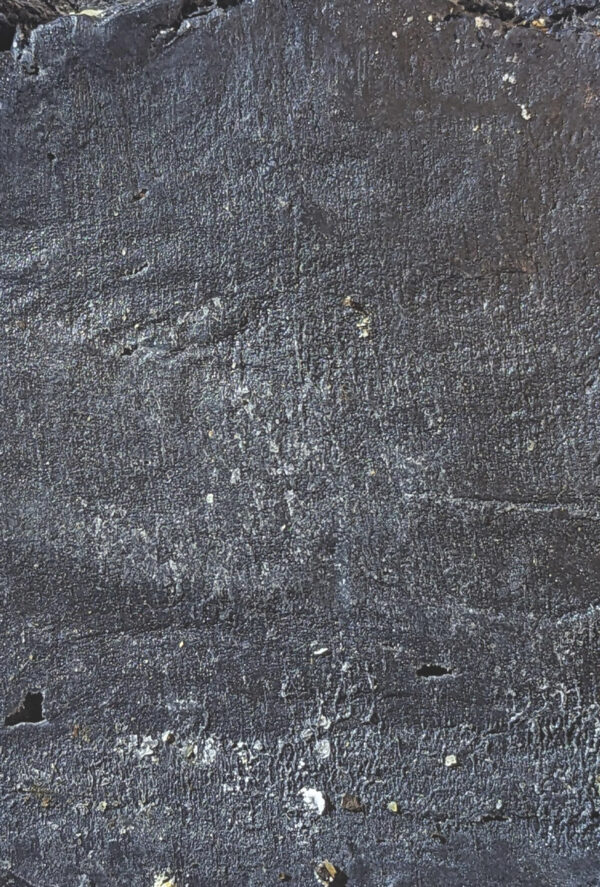 Tallow Charcoal Bar - Image 4