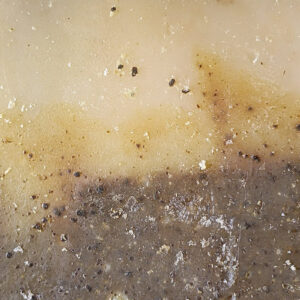 Coffee Tallow Bar Soap