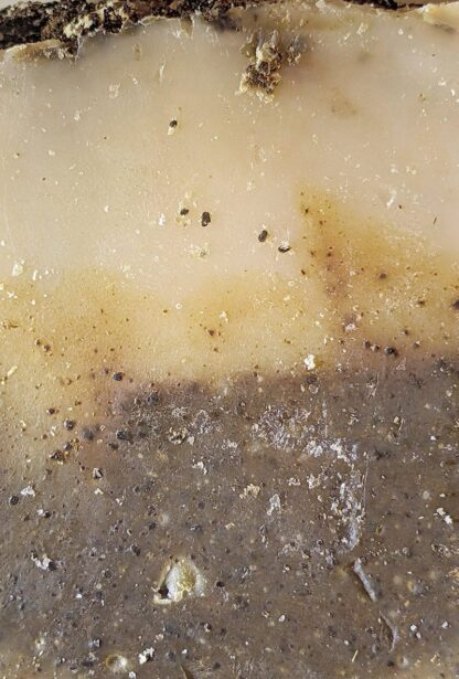 Coffee Tallow Bar Soap — Exfoliating Work Soap with Real Coffee Grounds